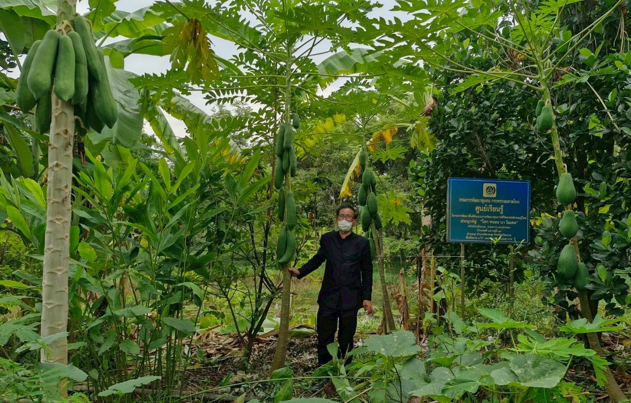 พช.ศิลาลาด ติดตามและสนับสนุน เยี่ยมชม”โคก หนอง นา ” แปลงของ “นายถาวร สระบัวทอง”